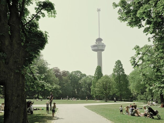 Mensen ontspannen in het park tegen een heldere lucht