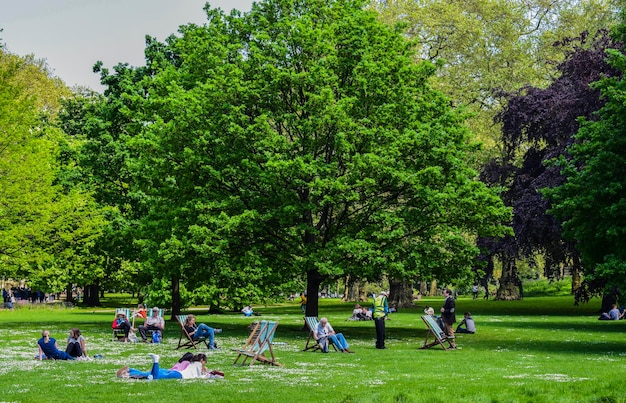 Mensen ontspannen op het grasveld in het park