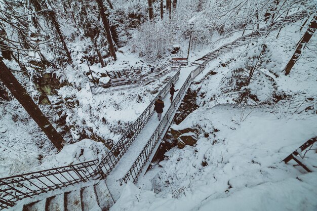 Mensen op de brug in het besneeuwde bergpark