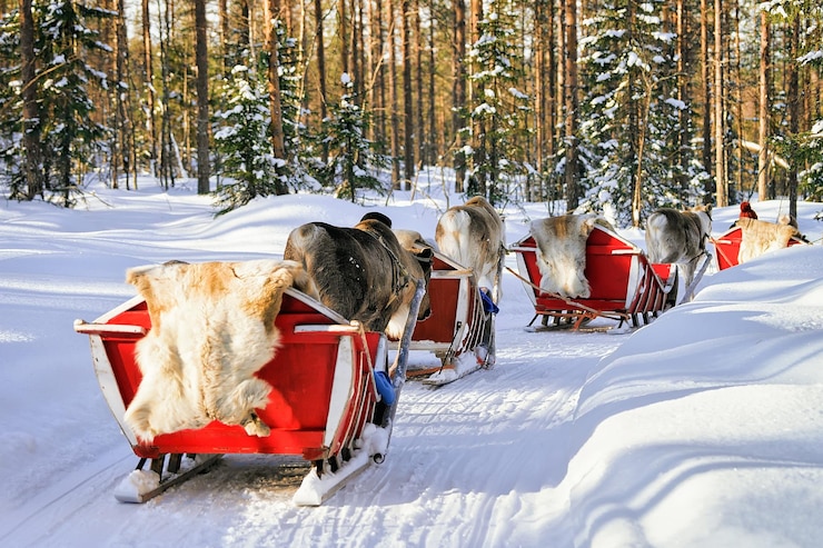 Foto mensen op de caravan van de rendierslee in de winterbos in rovaniemi, lapland, finland