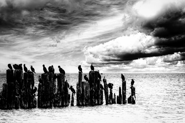 Foto mensen op houten palen in de zee tegen de lucht