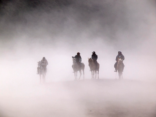 Mensen rijden op paarden op het veld tijdens mistig weer