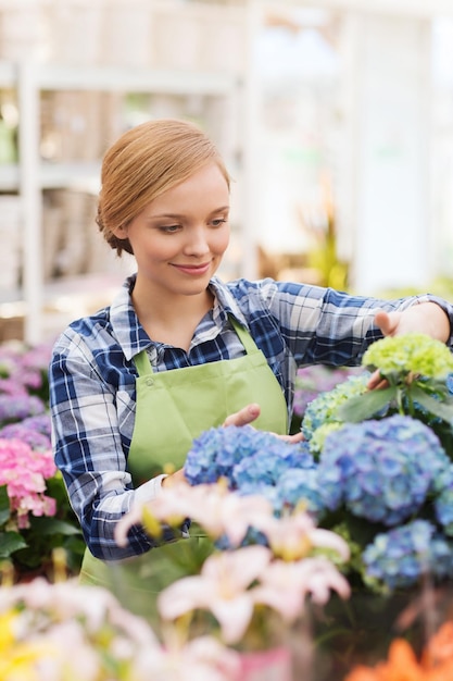 mensen, tuinieren en beroep concept - gelukkige vrouw of tuinman die voor bloemen in de kas zorgt