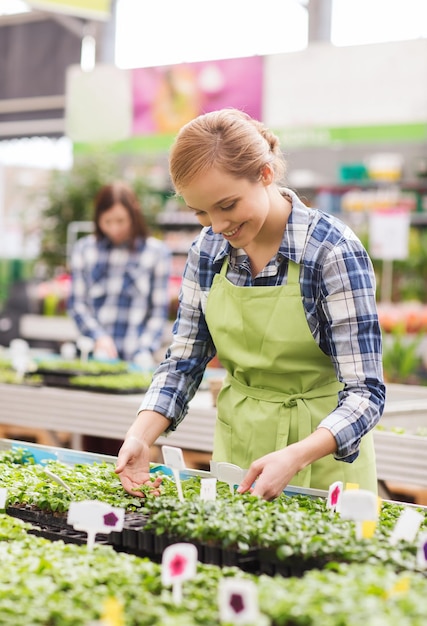 mensen, tuinieren en beroep concept - gelukkige vrouw of tuinman die voor zaailing in kas zorgt