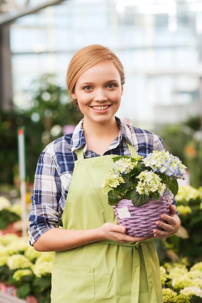 mensen, tuinieren en beroep concept - gelukkige vrouw of tuinman met bloemen in kas