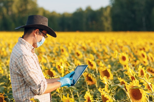 Mensenboer agronoom in handschoenen en gezichtsmasker op zonnebloemveld met tablet die de oogst controleert.