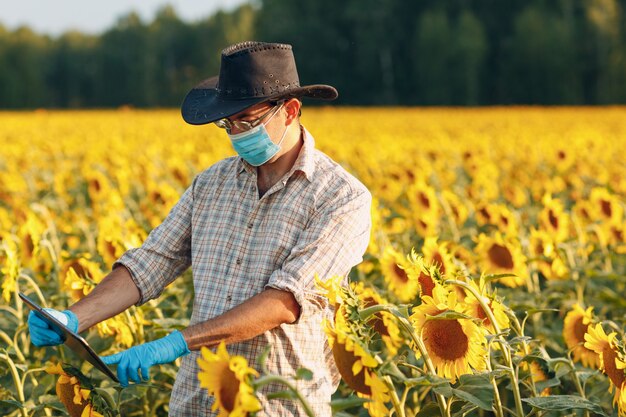 Mensenboer agronoom in handschoenen en gezichtsmasker op zonnebloemveld met tablet die de oogst controleert.