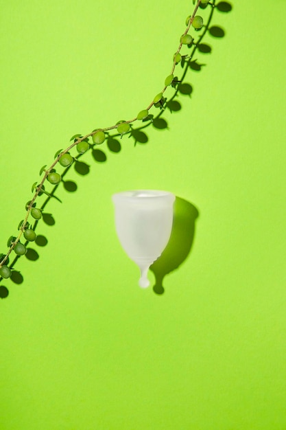 Menstrual cup and green leaves Sustainable period zero waste