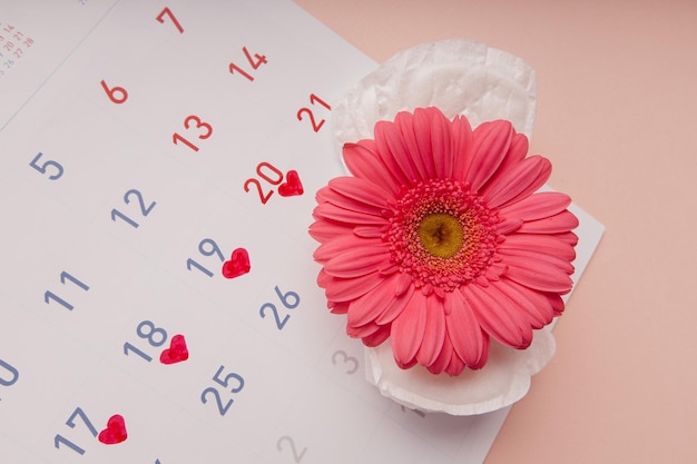 Фото Календарь менструации с отметками гигиенических тампонов и цветов концепция защиты женщины