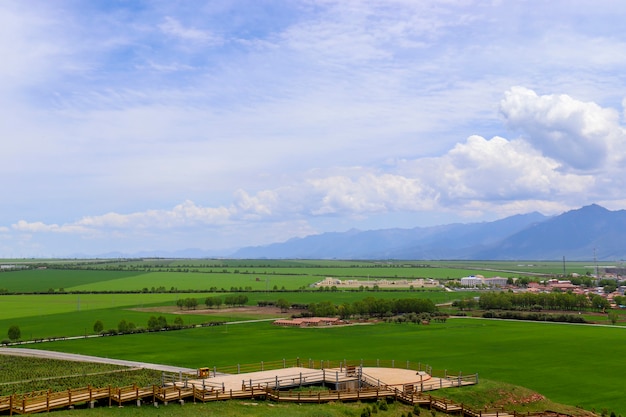 Menyuan gele koolzaadbloem Scenic Spot in Qinghai, China. Blauwe lucht, witte wolken, groen tarweveld, mooie dorpjes