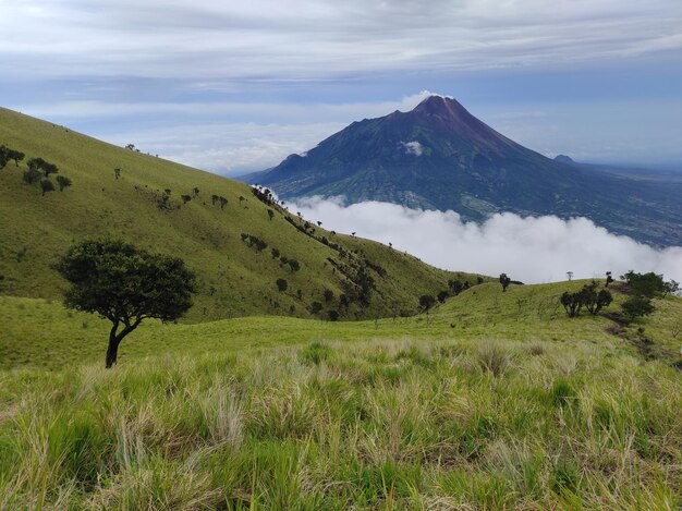 Merapi mountain view from merbabu mountain