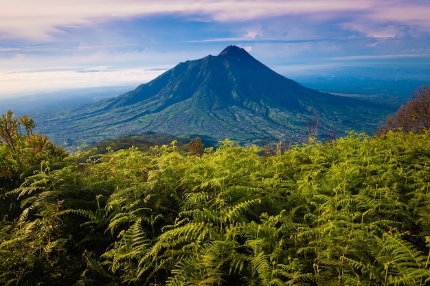 Merapi volcano taken from a height. view of Mount Merapi