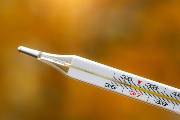 Photo mercury thermometer on an autumn background. the normal temperature of a healthy person is 36.6.