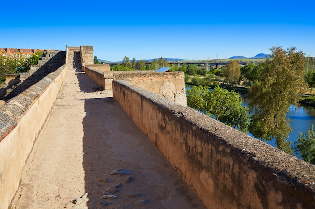 Merida Alcazaba in Badajoz Extremadura, Spanje