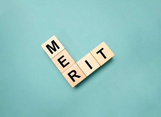 개념의 MERIT 텍스트가 있는 MERIT 나무 블록