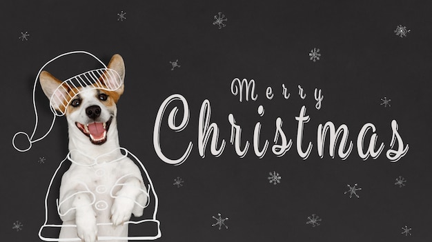 Merry Christmas. Cute dog with santa costume drawing on chalkboard. Christmas holiday concept.