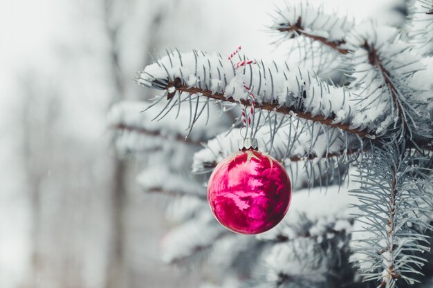 Merry Christmas and Happy Holidays greeting card or banner, decorated red toy ball Christmas tree. New Year.