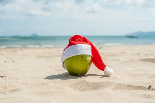 Merry Christmas and Happy New Year on the summer beach. Coconut in santa hat. Palms and blue sky on the background