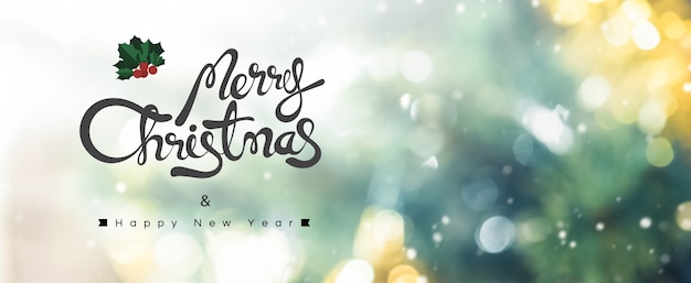 Merry Christmas and Happy New Year text on bokeh background