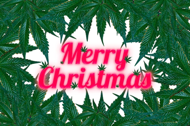 Foto buon natale con la marijuana.