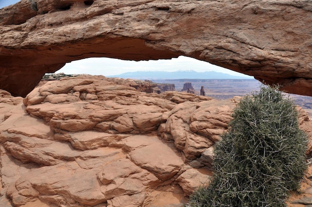 Mesa boog in het Canyonlands National Park