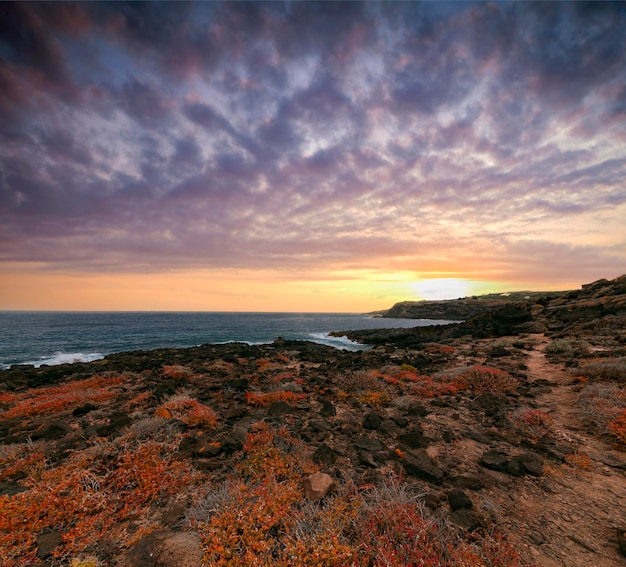Mesa del Mar volcanic rocks coastline, long exposure photography, Atlantic ocean with sunset light,.