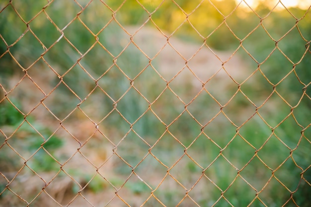 Mesh cage in the garden with green grass as background Metal fence with wire mesh Blurred view of the countryside Abstract background