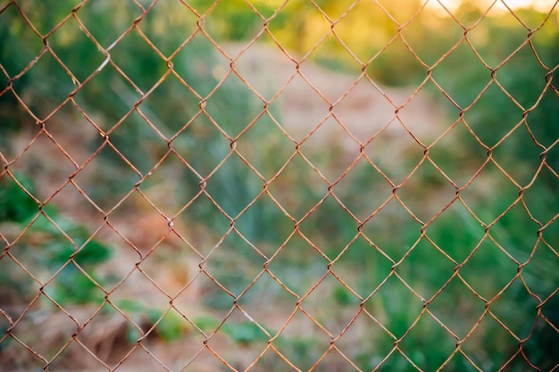 Mesh cage in the garden with green grass as background Metal fence with wire mesh Blurred view of the countryside Abstract background