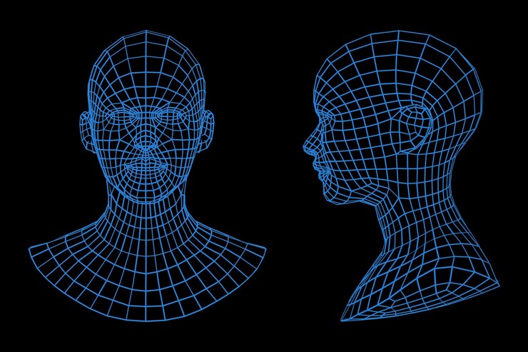3D での女性の顔のメッシュ