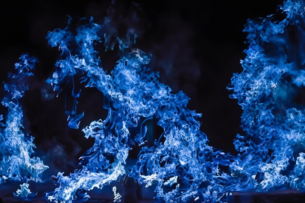 The mesmerizing Blue flames danced gracefully against the pitchblack backdrop