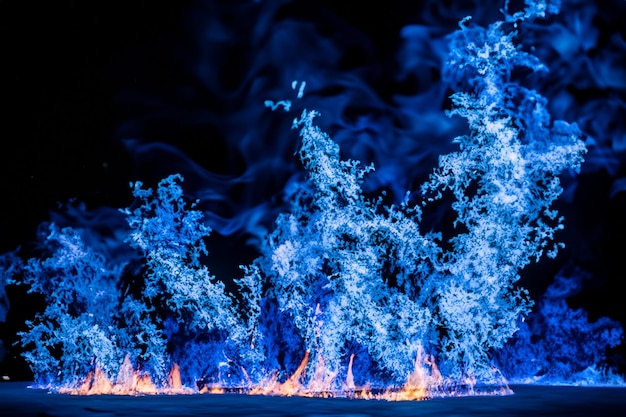 The mesmerizing Blue flames danced gracefully against the pitchblack backdrop