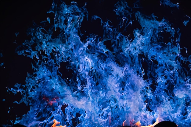 Photo the mesmerizing blue flames danced gracefully against the pitchblack backdrop