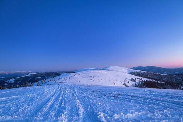 魅惑的な夜景雪に覆われたモミの木は、山以外の山脈と星空の澄んだ空を背景に、雪の吹きだまりの中に生えています。北の自然の美しさの概念。オーロラのコンセプト