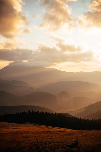 Mesmerizing sunset scenery in forested mountains