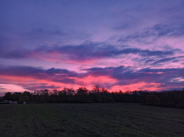 Mesmerizing view of a field gleaming under the cloudy pink sky great for wallpapers