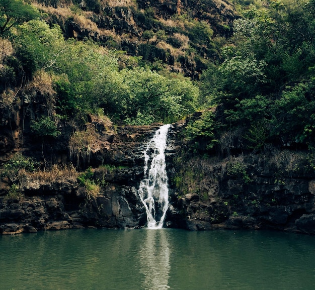 Mesmerizing view of Waimea Falls waterfall in national park Oahu, Hawaii