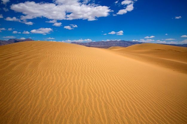 Mesquite dunes deserta nel parco nazionale della valle della morte