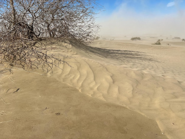 Mesquite Flat Sand Dunes in Death Valley during a sand storm caused by high winds