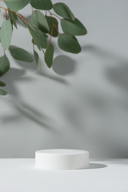 met achtergrond stand en eucalyptus