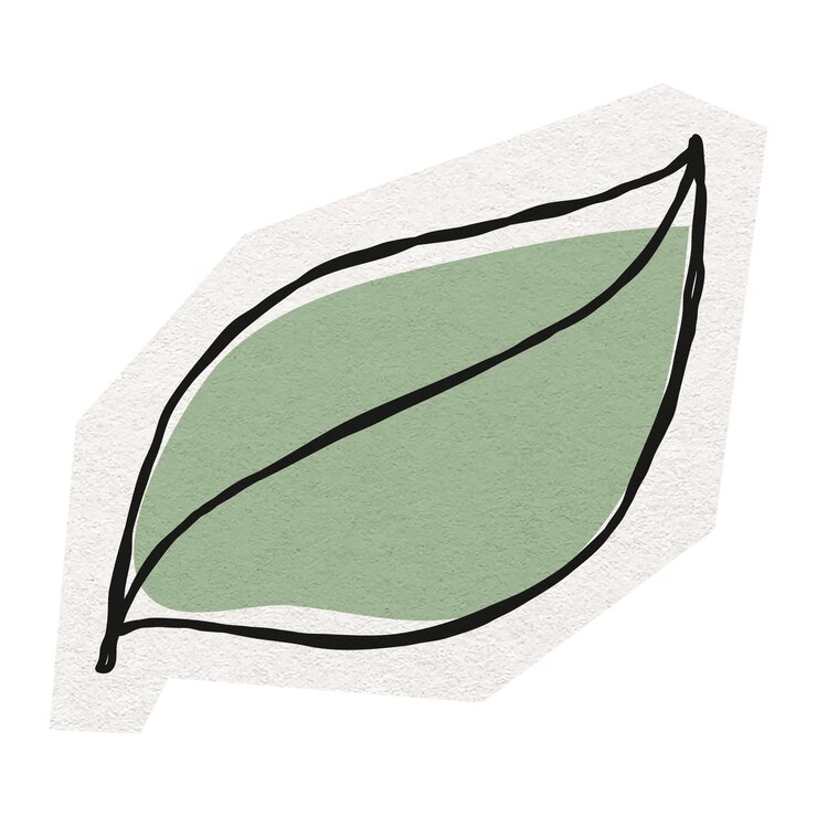 Foto met de hand getekende blad png sticker uit gesneden papier ontwerp doorzichtige achtergrond