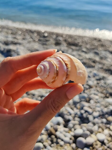 Met een schelp in zijn hand met uitzicht op de zee en het strand