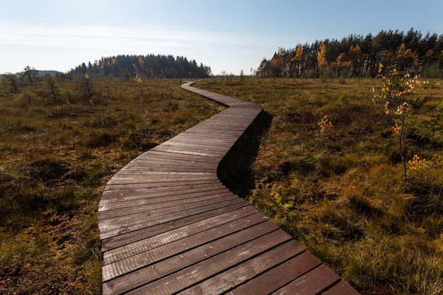 Met hout geplaveid pad naar de horizon in het midden van de herfst in Rusland.