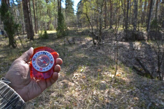 Met kompas in het bos