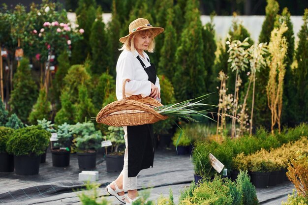 Met mand in handen Senior vrouw is overdag in de tuin Conceptie van planten en seizoenen