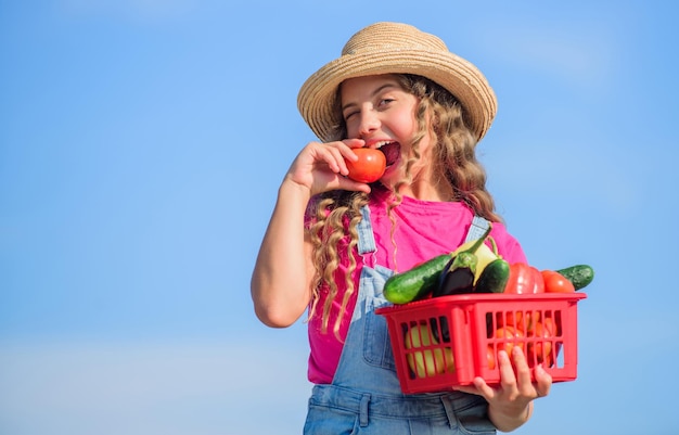 Met mond vol kind op zomerboerderij Biologische voedseloogst vitamine lentetuin meisje groente in mand Alleen natuurlijke gelukkige kleine boer herfstoogst gezond voedsel voor kinderen