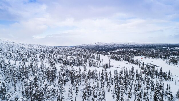 Met sneeuw bedekt bos, luchtbeeld met drone-beeld van boven