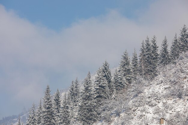 met sneeuw bedekte berg