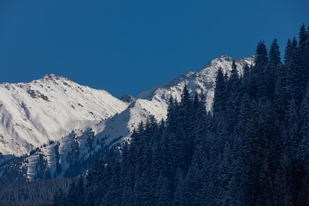 Foto met sneeuw bedekte berg