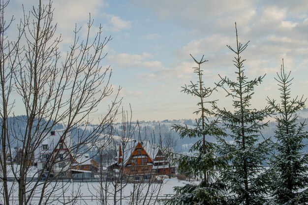 Met sneeuw bedekte bergdorp