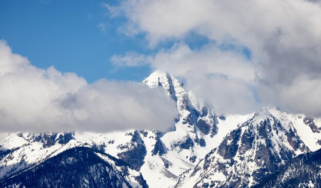 Met sneeuw bedekte bergen in het lenteseizoen van het Amerikaanse landschap